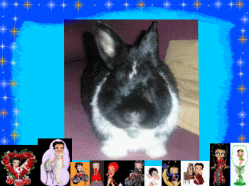 voici pipper